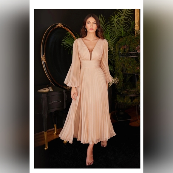 Pleated beautiful dress - Picture 1 of 3